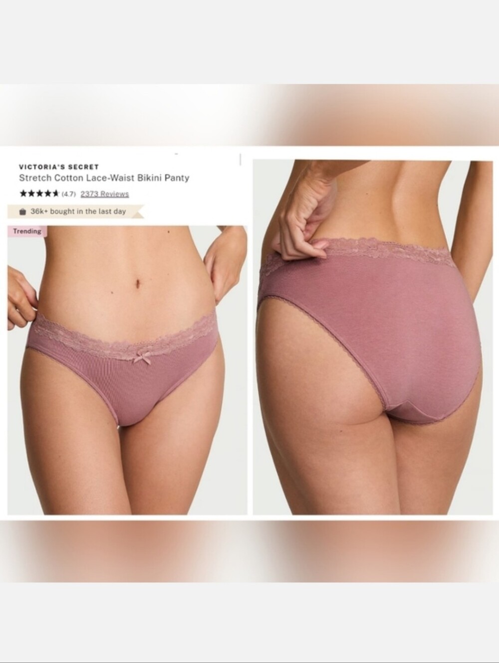Victoria's Secret Stretch Cotton Lace-Waist Bikini Panty NEW! XXL